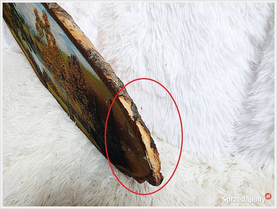 Duży Obraz ręcznie malowany na pniu drzewa Żary sprzedam