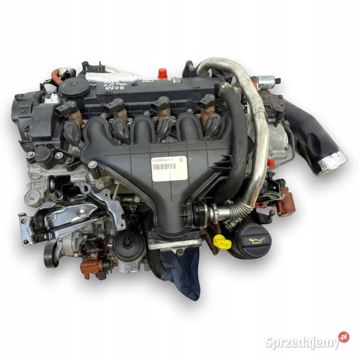 SILNIK G6DB Ford C C Focus MK2 20 TDCI 136 osobowe Chełm