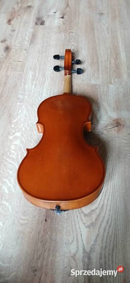 State skrzypce Kraków