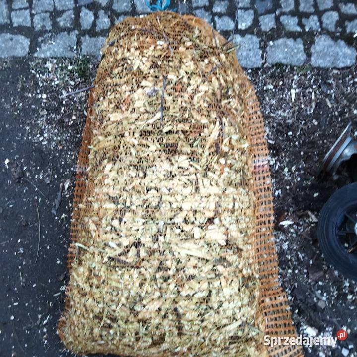 Zrębki Zrębka owocowa Ostrów Wielkopolski