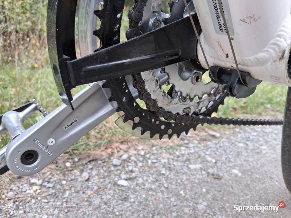 Rower kTM Imola Cross