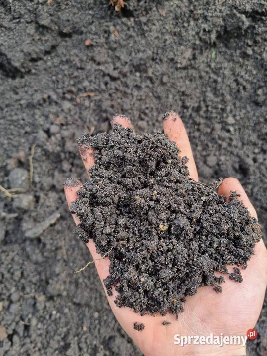 Piasek siany płukany czarnoziem Olsztyn sprzedam