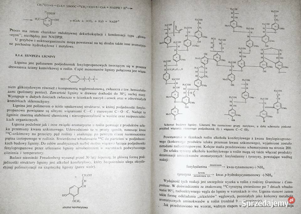 Biochemia biologów Jerzy Trojanowski Chełm sprzedam
