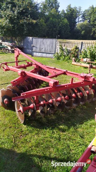 Talerzówka Jędrzejów