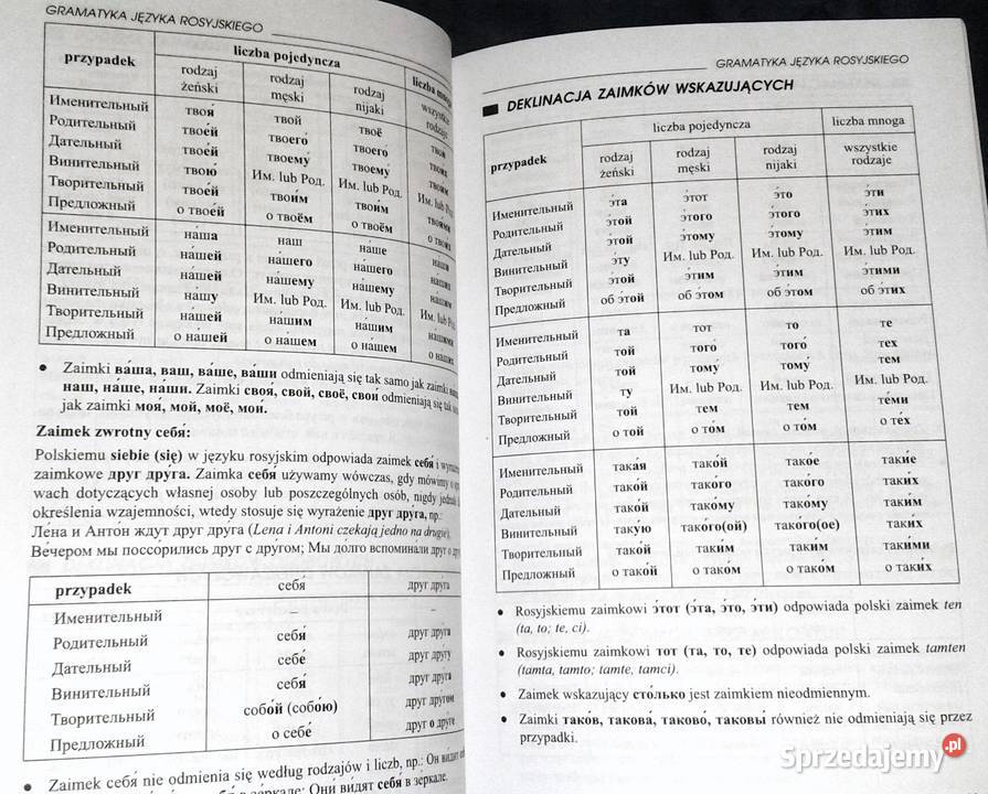 Gramatyka języka rosyjskiego Julia Piskorska