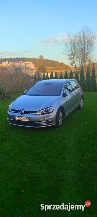 Sprzedam Volkswagena golfa 7 2018 wielofunkcyjna kierownica Golf Tylice