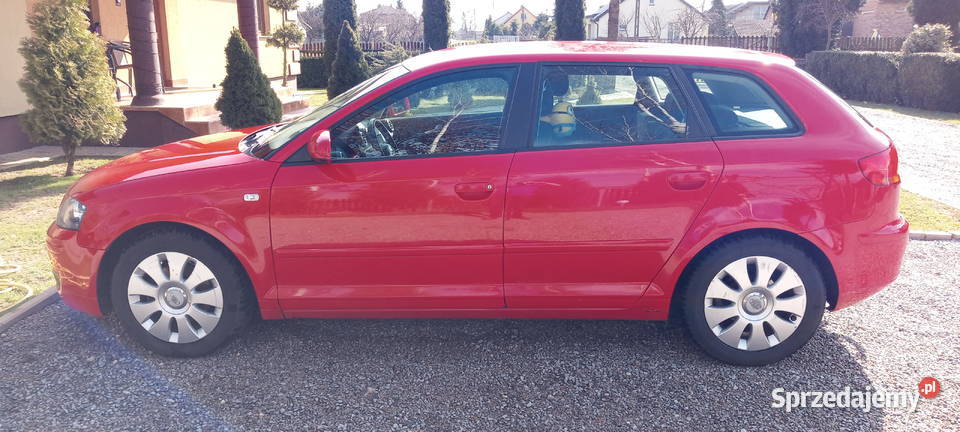 Audi A3 8P 20 TDI BMM 277km mazowieckie Kozienice