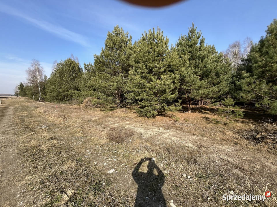 Działka z WZ w Wólce Gonciarskiej gm Kazanów Wólka Gonciarska