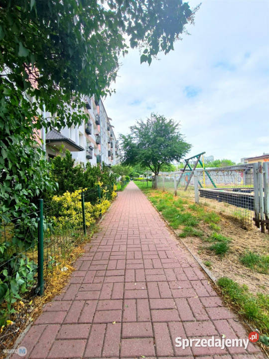 Mieszkanie Kielce 261m2 1 pokój sprzedam