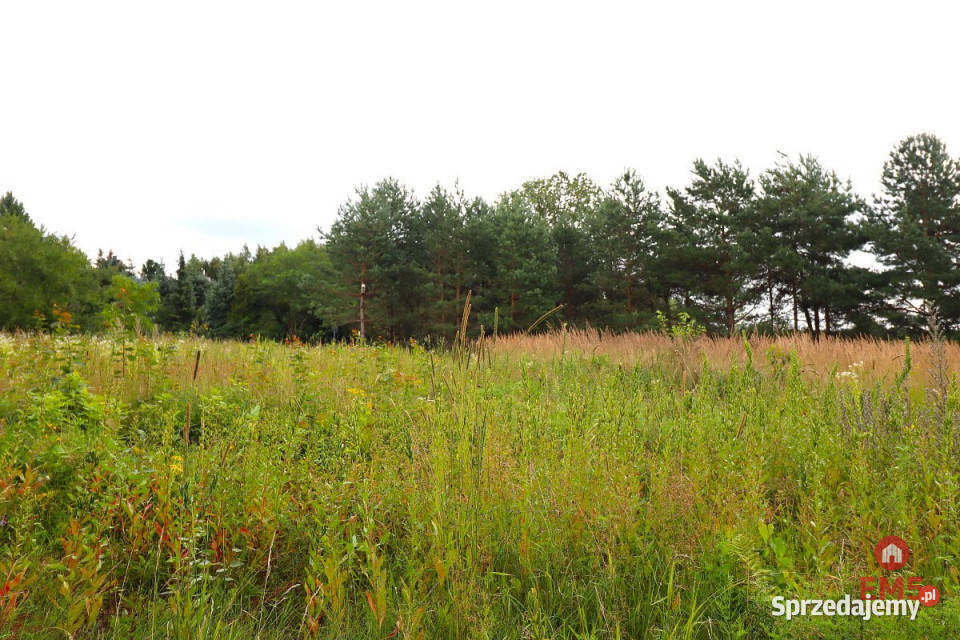 Sprzedaż gruntu Suwałki 3758m2 sprzedam