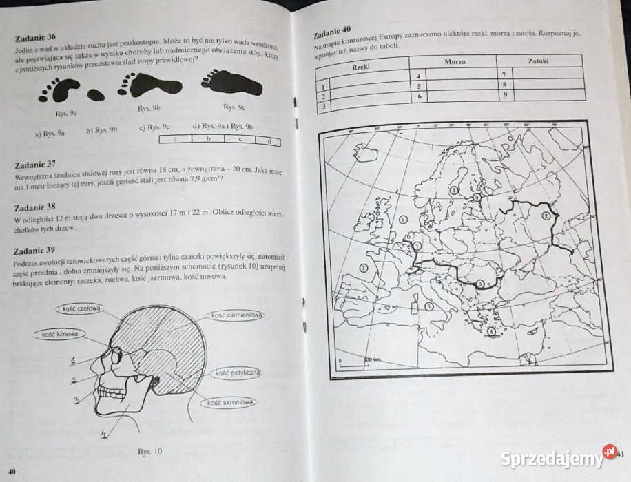 Przedmioty matematyczno przyrodnicze Testy miękka