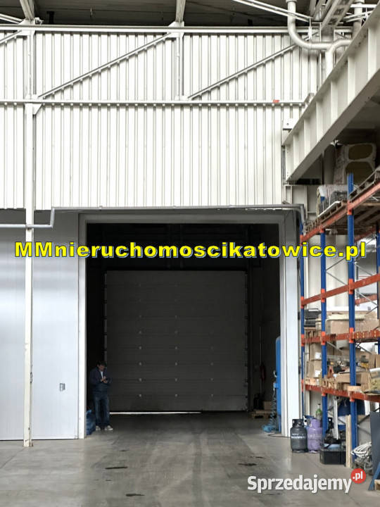 Hala do wynajęcia Katowice suwnice 125 t bramy