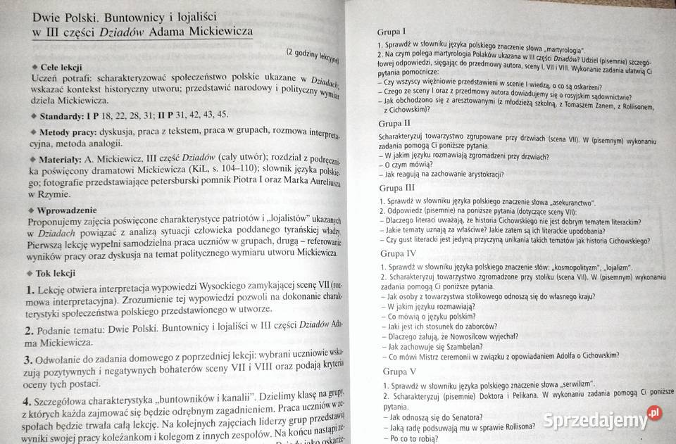 Barwy epok 2 Scenariusze lekcji Michał Orczyk lubelskie Chełm sprzedam