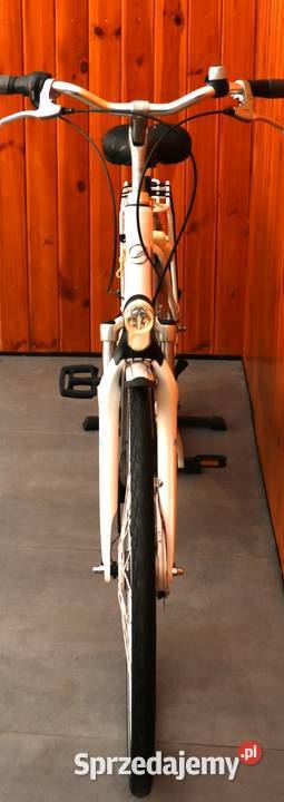 Rower damski Giant Ultimo D 55 RATY