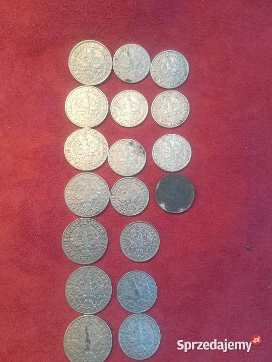 Polska zestaw 1 50gr 20gr 10gr 1923 1929r Sulejówek