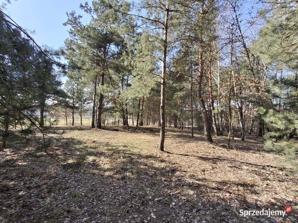 Piękna zadrzewiona działka budowlana w budowlana Wola Gardzienicka