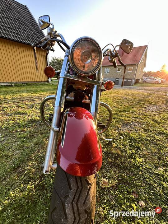 Triumph America 61000km Włodawa