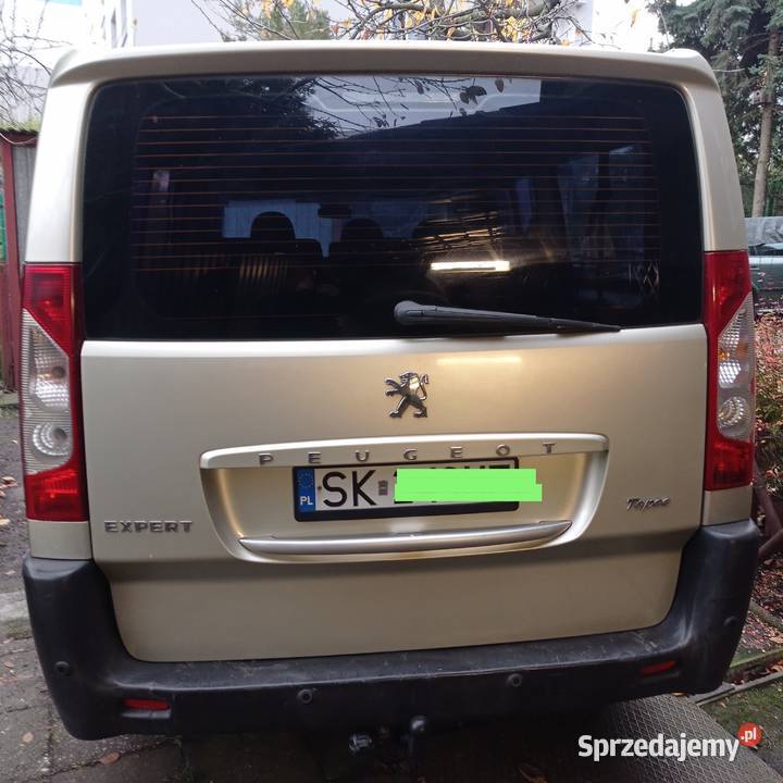 Peugeot expert long zadbany 9 osób klimatyzacja śląskie Sosnowiec
