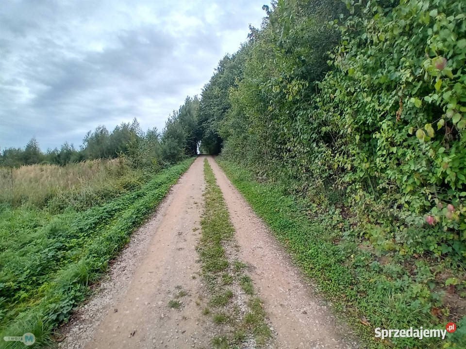 Grunt Morawica 800m2 kanalizacja Grunty i działki świętokrzyskie