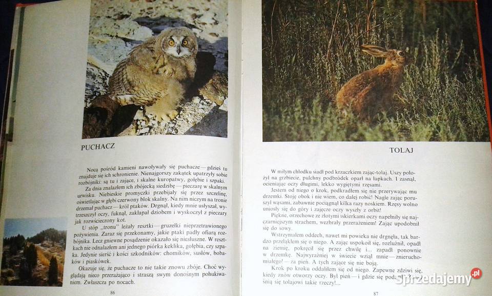 Świat tęczy Nikołaj Sładkow sprzedam