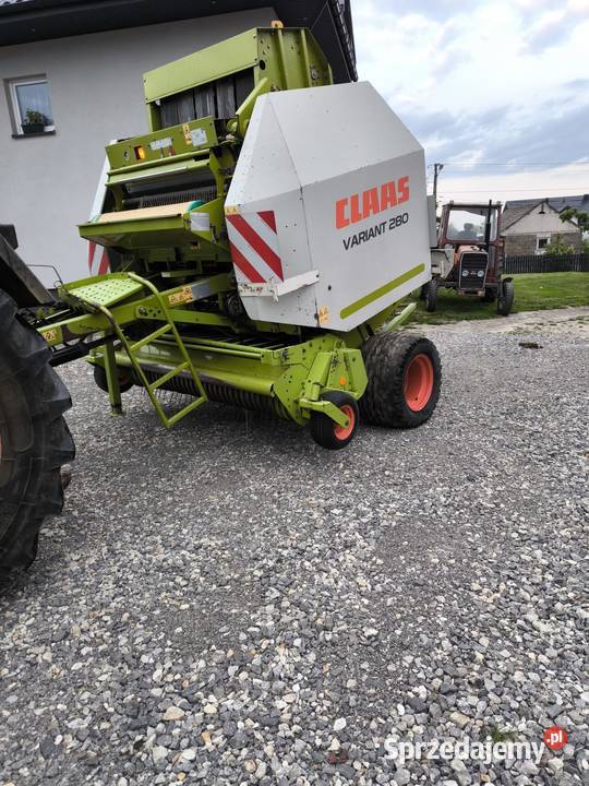 Sprzedam prase class świętokrzyskie