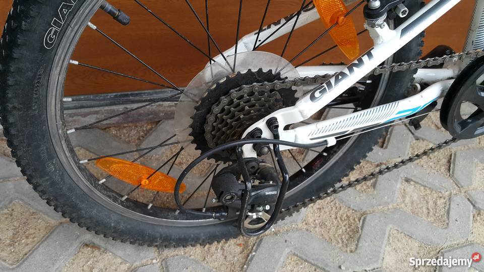 GIANT XTC JR 20 pomorskie Gdańsk