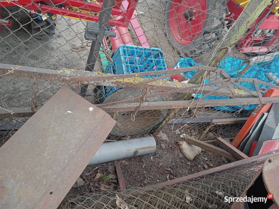 Brona brony nieuszkodzony Nowa Wieś