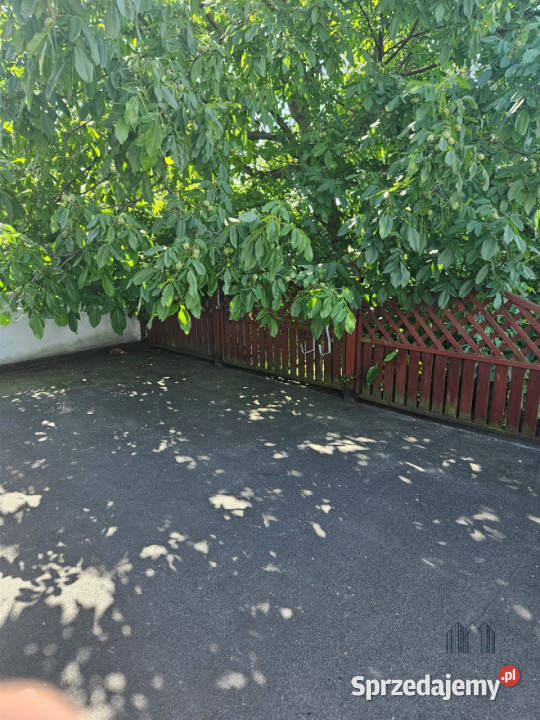 Kamienica Zawidów 215m2 dolnośląskie sprzedam