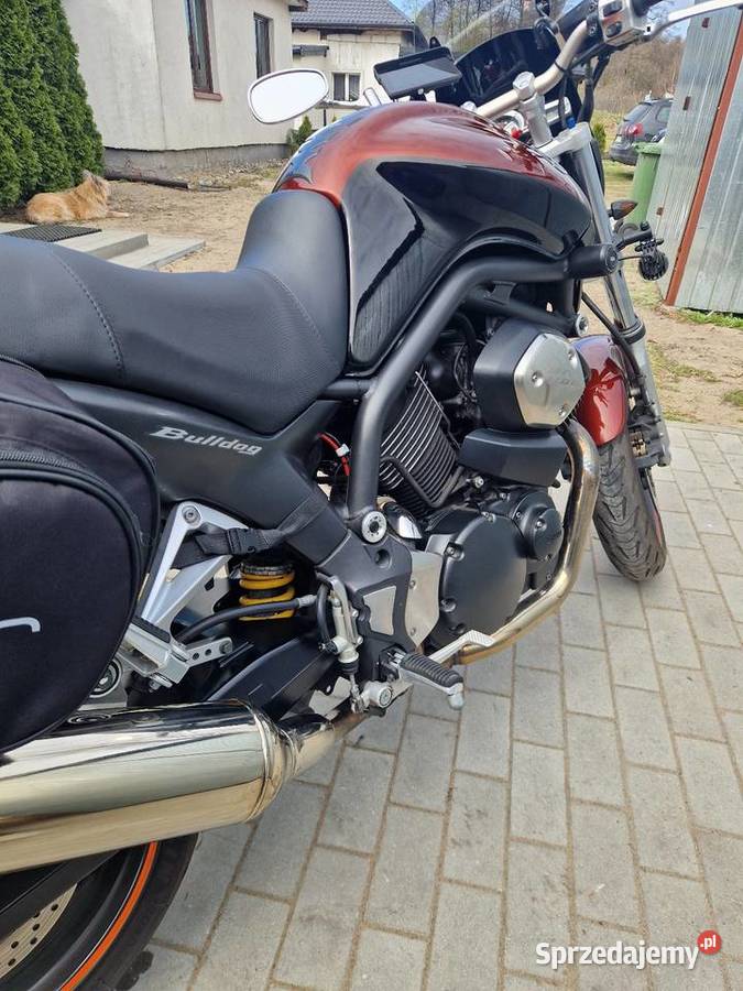 Yamaha BT 1100 buldog Toruń