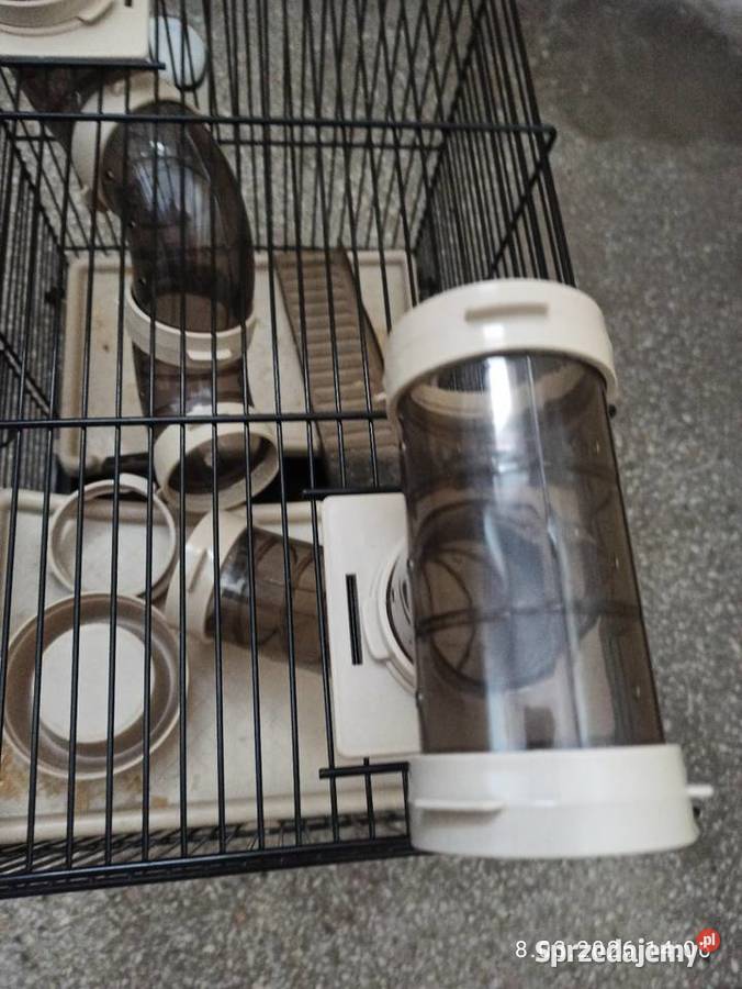 Klatka na gryzonie Koszalin