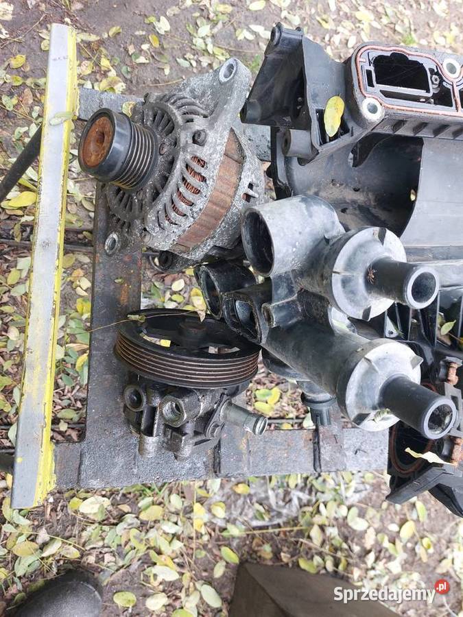 Didge Caliber Alternator łódzkie Kutno