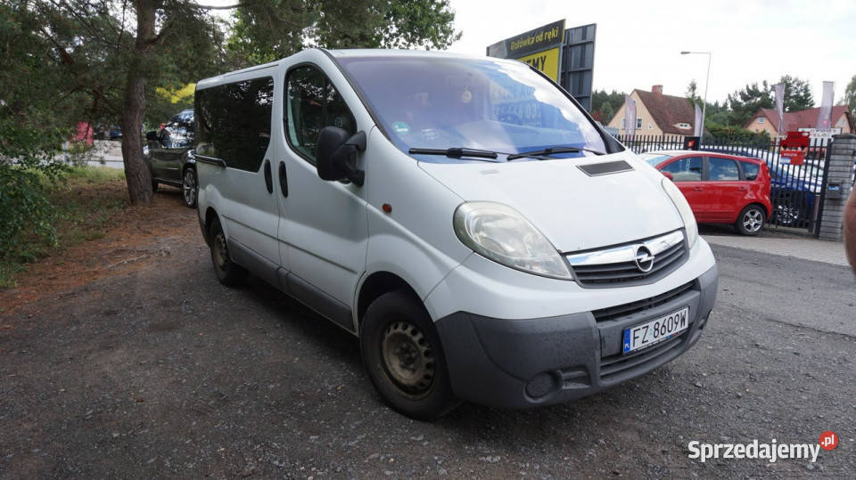 Opel Vivaro zarejestrowany ubezpieczony 2/3 Zielona Góra