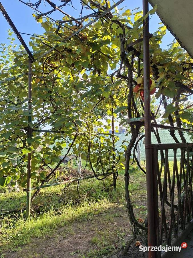 DZIAŁKA ROD jezioro Sprzedam Pozostałe wielkopolskie