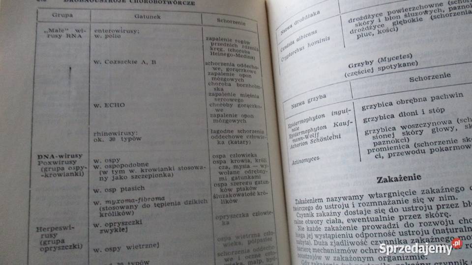 Mała encyklopedia zdrowia medycyna zdrowie Łódź