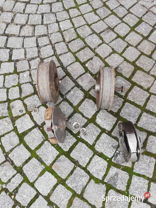 Pannonia koła dekle szczęki