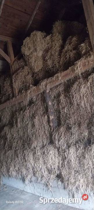 Słoma kostka Trawy, słoma Łączonek sprzedam