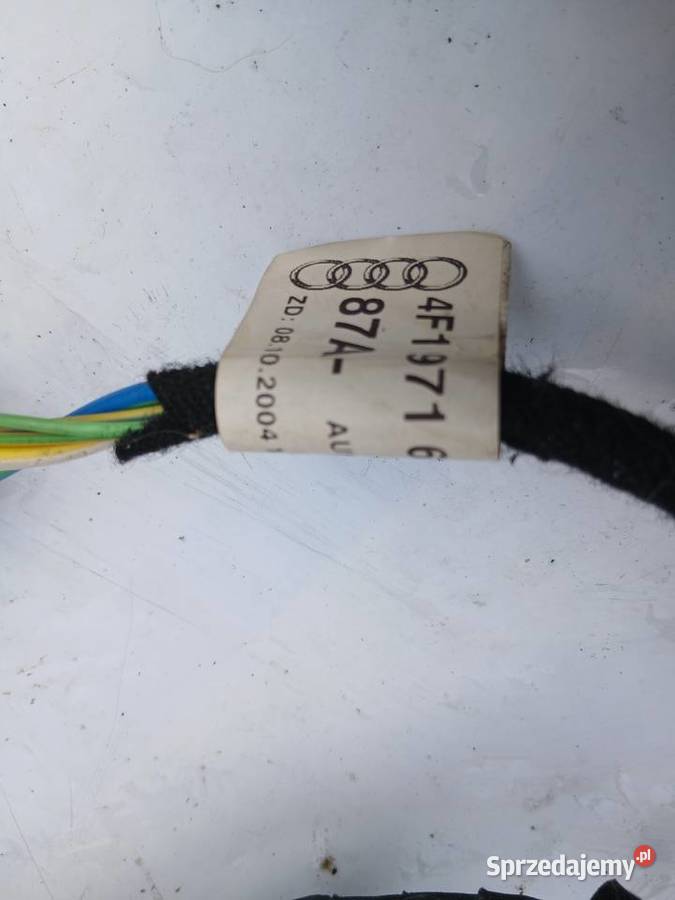 Audi A6 C6 Wiązka drzwi lewy tył 4F1971687 Materiały instalacyjne Szczerbice