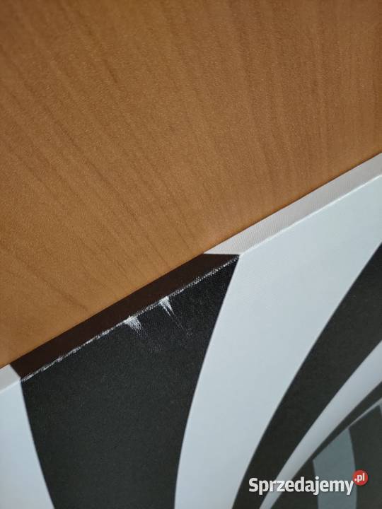 Obraz tryptyk 4 części czarno biały Okazja Obrazki i obrazy mazowieckie Warszawa sprzedam