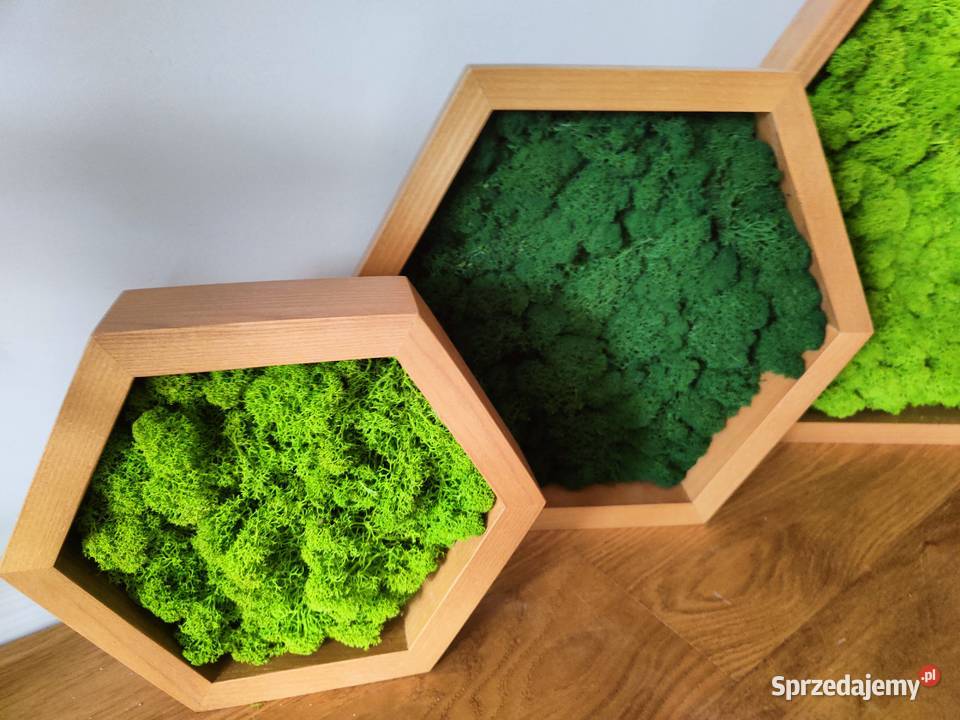 Ramki heksagon komplet 3 dolnośląskie