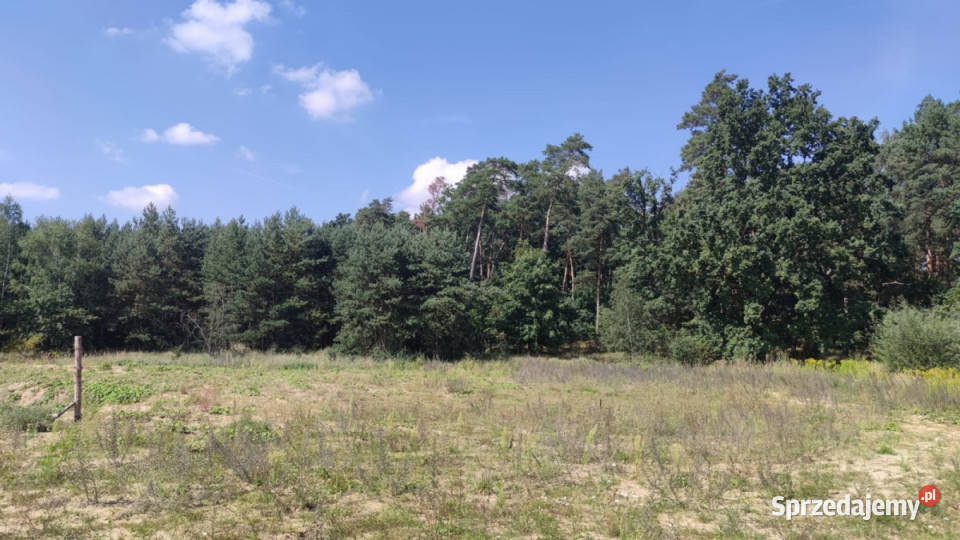Działka budowlana przylesie z waunkami zabudowy Dobra