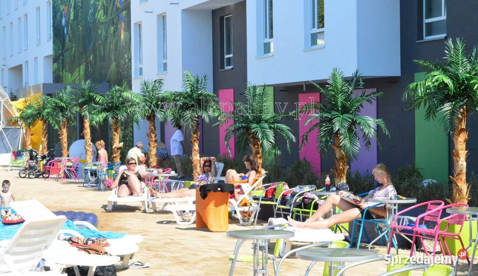 PALMA SZTUCZNA 3M SZTUCZNE DRZEWKA KWIATY PALMY Wąbrzeźno