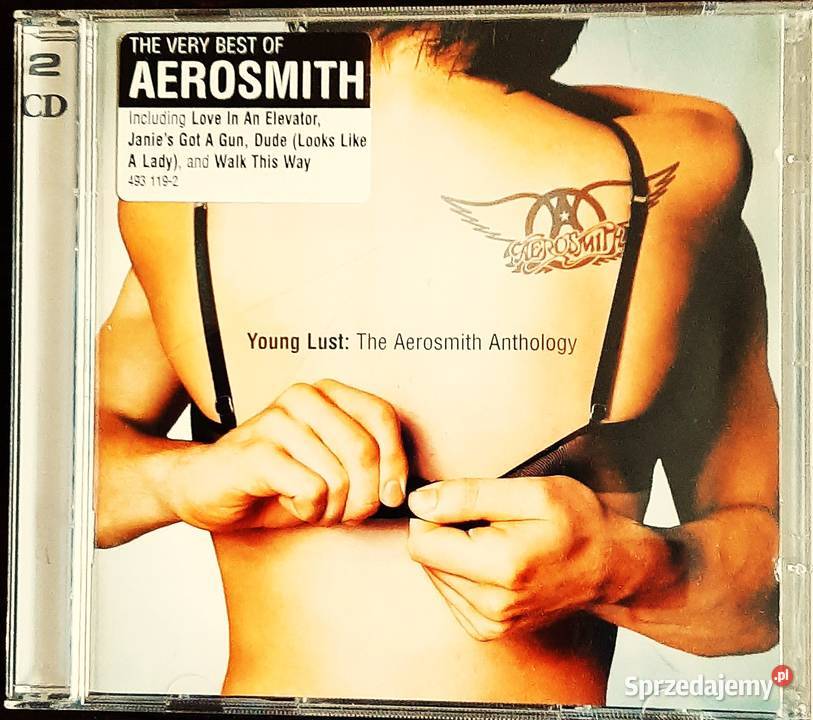 Sprzedam Album CD Aerosmith Permanent Vacation 1 płyta Płyty i kasety Katowice