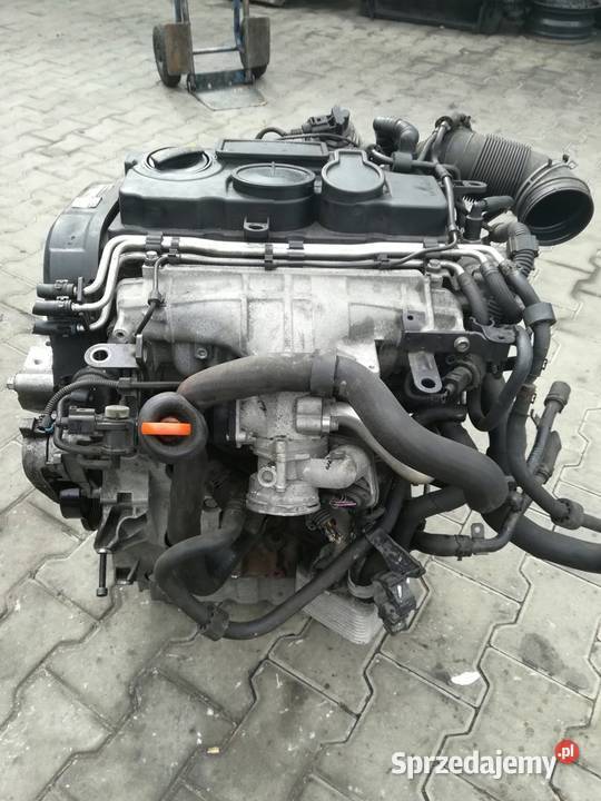 Słupek Passat B6 20 tdi BMR 170 280K PRZEBIEG osobowe Gorzów Wielkopolski