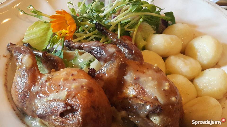 Catering okolicznościowy posiłki uroczystości pomorskie Tczew