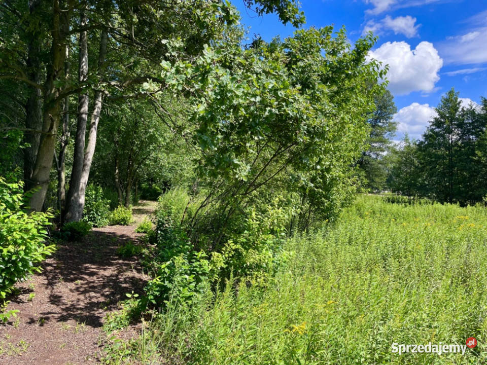 Duża działka rolnobudowlana 28823 ha Mariew
