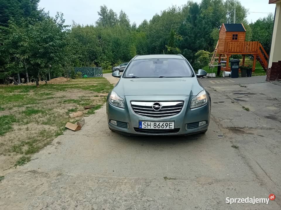 OPEL INSIGNIA TURBO BENZYNA 180 hak 2010 Rok produkcji 2010 Rzeszów