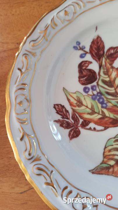 Przepiękne ręcznie malowane owoce Biała pomorskie