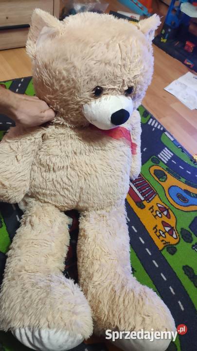 Miś pluszowy duży Książ Wielkopolski
