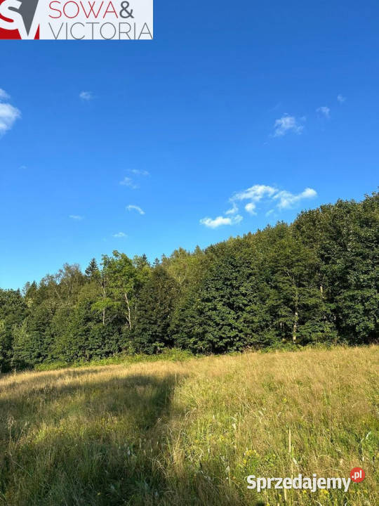 Piękne działki budowlane przełęczy Kowarskiej utwardzona Leszczyniec sprzedam