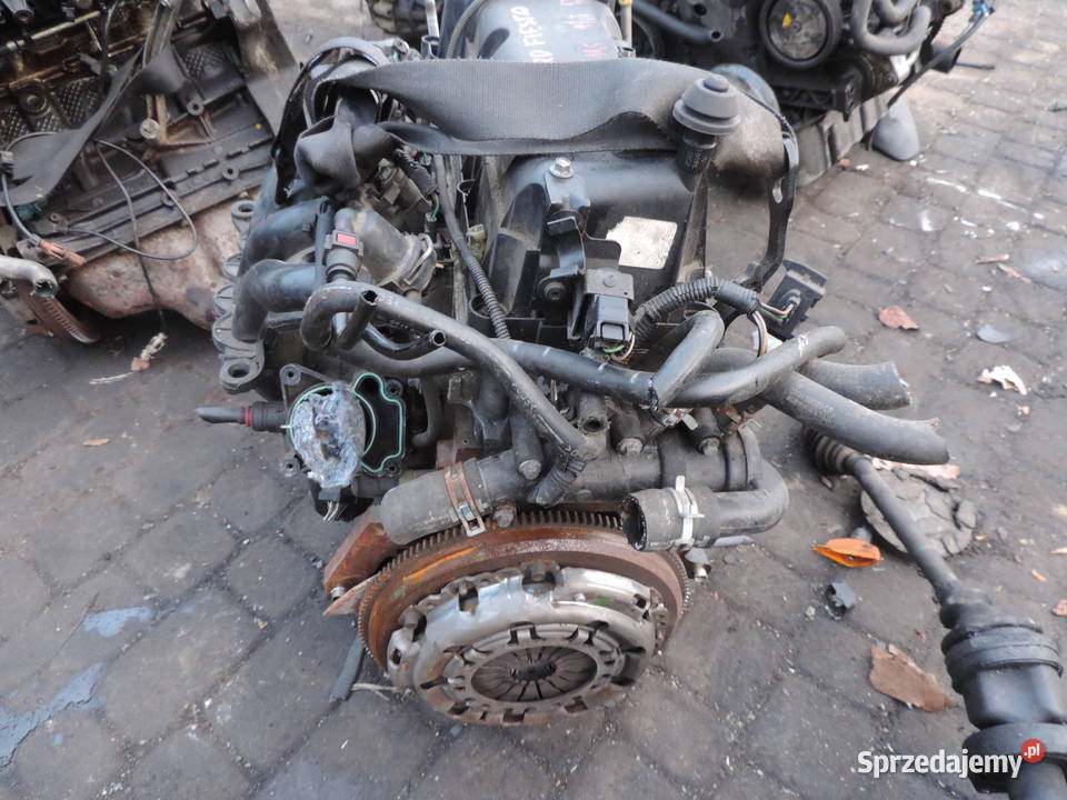 FORD FIESTA VI MK6 13 A9JA 69 SILNIK BENZYNA Rok produkcji 2005